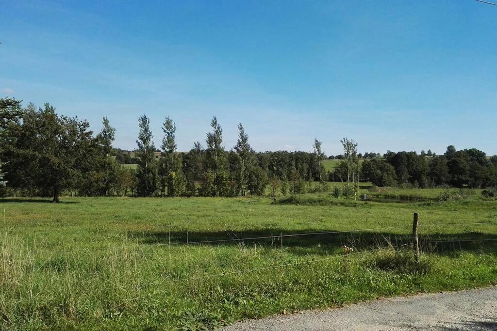 Ferienwohnung In Mittelsaida Grosshartmannsdorf Екстериор снимка