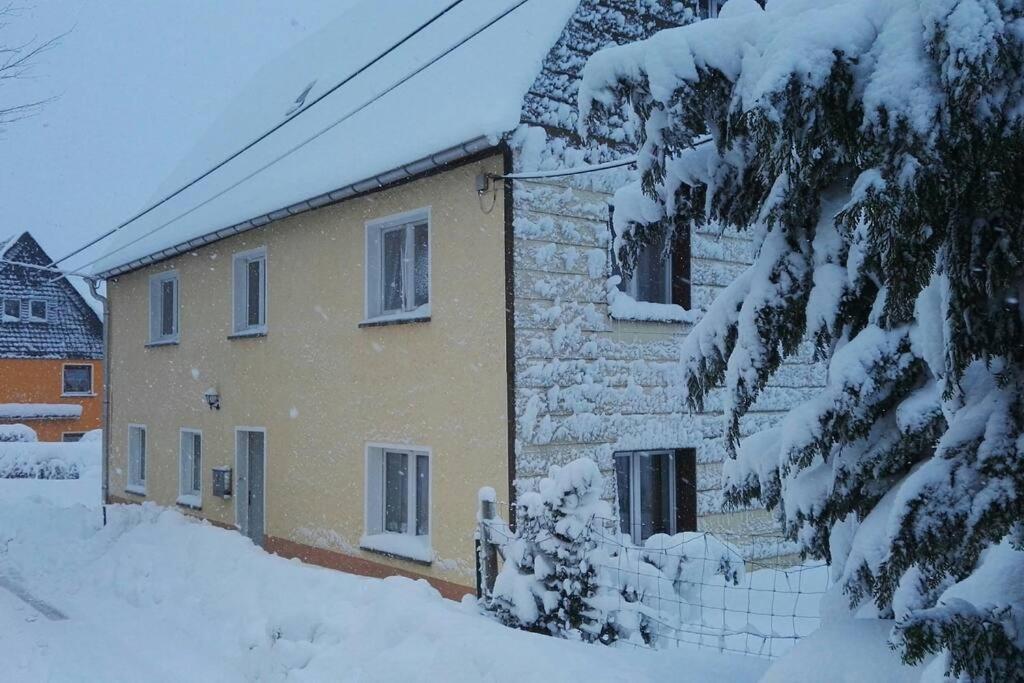 Ferienwohnung In Mittelsaida Grosshartmannsdorf Екстериор снимка