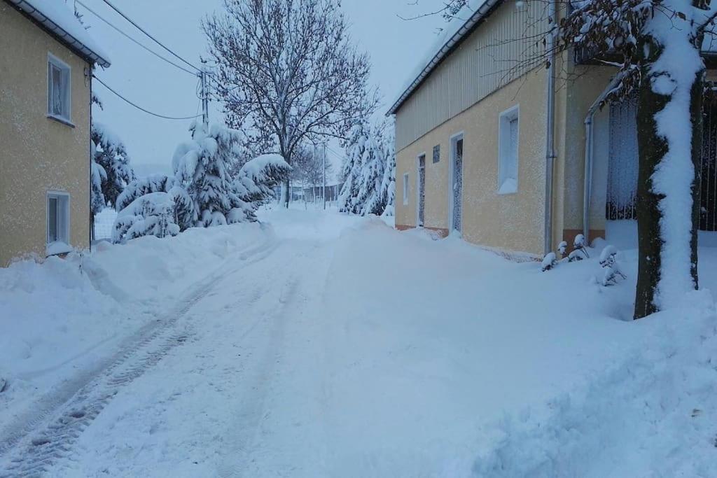Ferienwohnung In Mittelsaida Grosshartmannsdorf Екстериор снимка